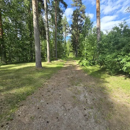 Revontulet Zh Tulimetsaen Kylae Pieksamaki
